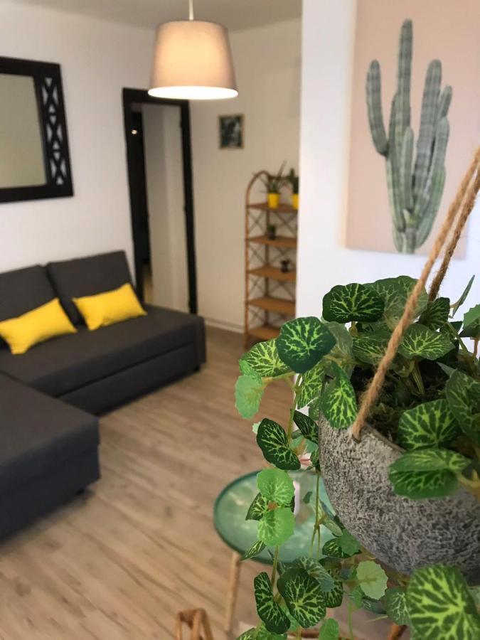 Cactus 2 Bedroom Apartment On Calle San Miguel Minutes From The Beach By Namaste Elite 托雷莫利诺斯 外观 照片